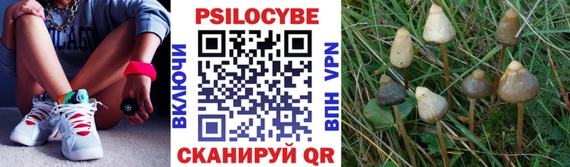 Галлюциногенные грибы прущие грибы  Купить  Светлоград 
